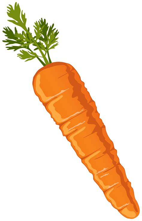 carrot clipart